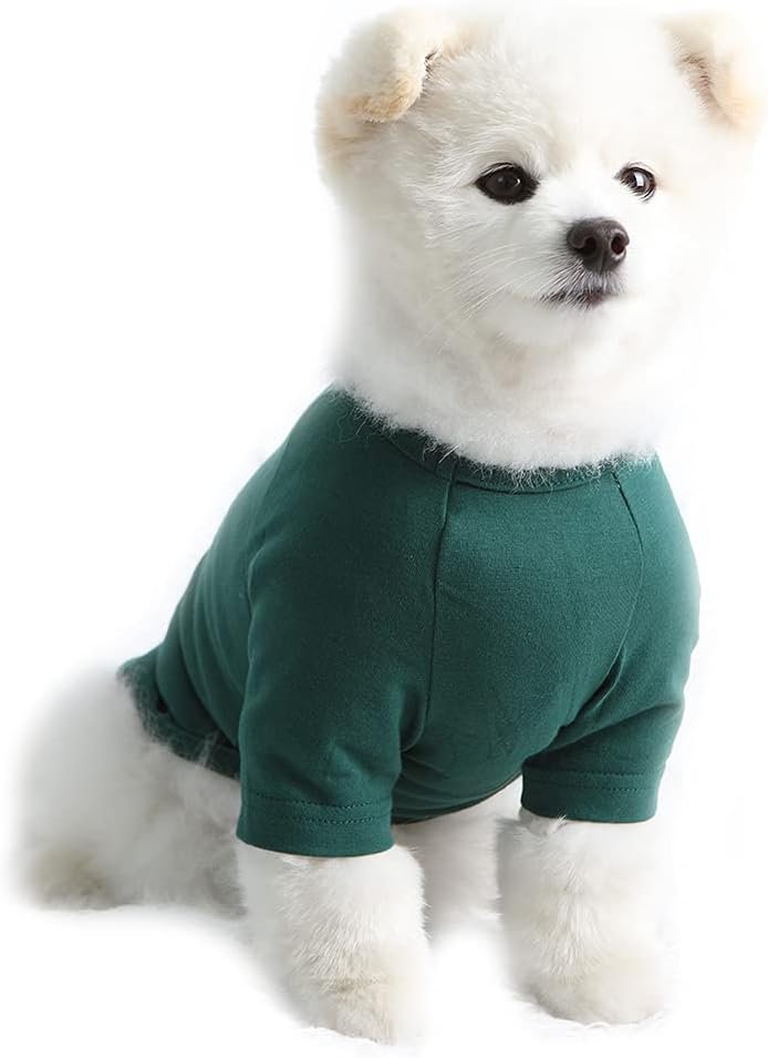 Dog Shirt for Small Dogs Plain T-Shirts Soft Breathable Dog Cotton Shirt pet Clothes (X-Small, Green)