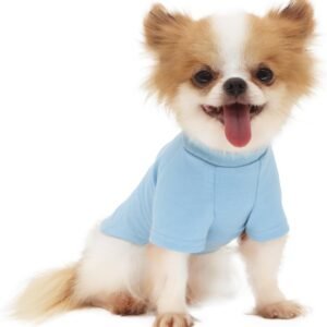 Everyday Soft Cotton Dog Short Sleeve T-Shirt for Chihuahuas & Teacup Puppies & Small Dogs Breeds | Fits 2.2-4.5 lbs | Blue, Small
