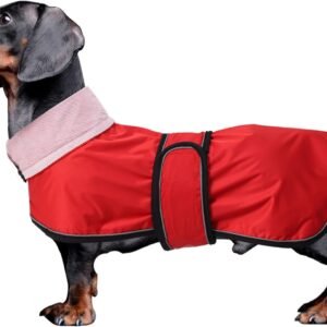 Dachshund Raincoat Weiner Dog Clothes Corgi rain Coat Jacket Hook Loop Closure Great for Dachshund Weiner Corgi Long Back Breeds Red L