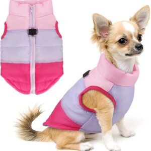 Pet Dog Cat Coat with Leash Anchor Color Patchwork Padded Puppy Vest Jacket Teddy Chihuahua Costumes Pug Cloth XS S M L (Medium (Pack of 1), Rose Red)