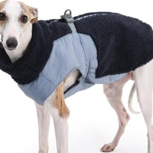 Dog Cold Weather Coats for Small Medium Large  Outdoor Indoor Activities-Warm Pet Winter Clothes Jackets - Windproof Warm Colors Style Dog Vest (Blue, Medium)